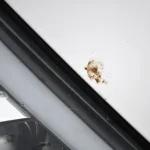 Sredstvo za uklanjanje prljavštine od ptica - Slika 9